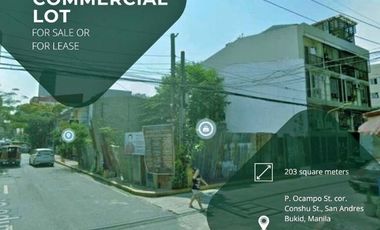 203 sq.m. Commercial Lot for Sale in San Andres, Manila City, Metro Manila