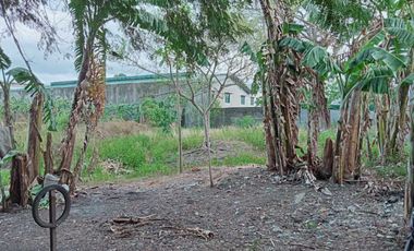 MEYCAUAYAN Industrial vacant Lot For Lease