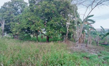 MEYCAUAYAN Industrial vacant Lot For Lease