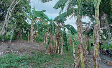 MEYCAUAYAN Industrial vacant Lot For Lease