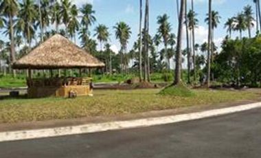 Hacienda Escudero Residential Lot for Sale in Tiaong, Quezon