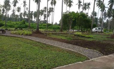 Hacienda Escudero Residential Lot for Sale in Tiaong, Quezon
