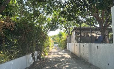 Calatagan Beach house 50  meters away from beach