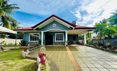Your Dream Farmhouse Awaits in Panglao Island with Swimming Pool!