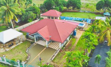 Your Dream Farmhouse Awaits in Panglao Island with Swimming Pool!