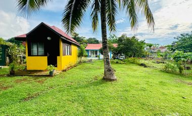 Your Dream Farmhouse Awaits in Panglao Island with Swimming Pool!