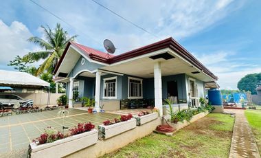 Your Dream Farmhouse Awaits in Panglao Island with Swimming Pool!
