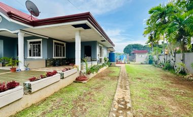 Your Dream Farmhouse Awaits in Panglao Island with Swimming Pool!