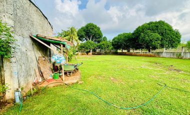 Your Dream Farmhouse Awaits in Panglao Island with Swimming Pool!