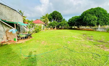 Your Dream Farmhouse Awaits in Panglao Island with Swimming Pool!