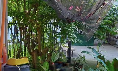 5 Bedrooms 4 toilet house and lot for sale in Bingag Dauis Panglao Island Bohol
