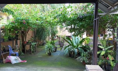 5 Bedrooms 4 toilet house and lot for sale in Bingag Dauis Panglao Island Bohol