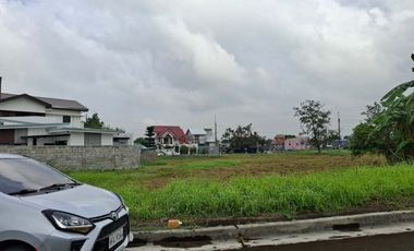225SQM Residential Lot for Sale Executive Vill. Dasmariñas Cavite