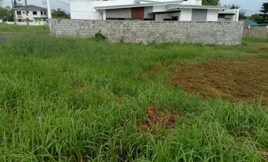 225SQM Residential Lot for Sale Executive Vill. Dasmariñas Cavite