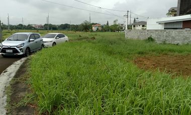 225SQM Residential Lot for Sale Executive Vill. Dasmariñas Cavite
