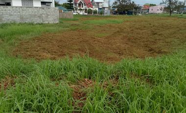 225SQM Residential Lot for Sale Executive Vill. Dasmariñas Cavite