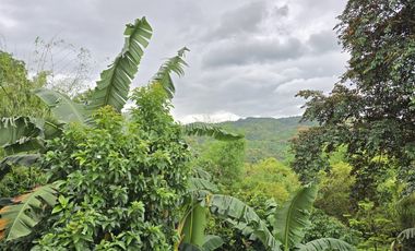 2 Storey Townhouse for sale in San Mateo Rizal near Quezon City Marikina City