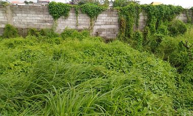 Lot For Rent Lease at Kawit near EPZA Cavite Economic Zone Commercial