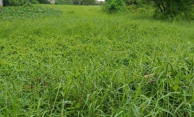 Lot For Rent Lease at Kawit near EPZA Cavite Economic Zone Commercial