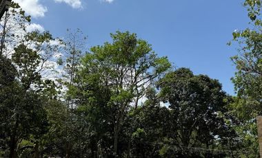 RARE Forest Park LOT in Fairmount Hills