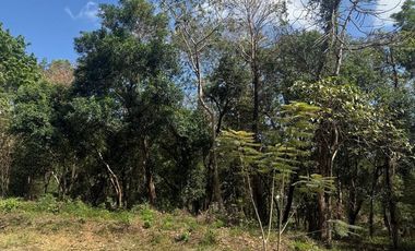 RARE Forest Park LOT in Fairmount Hills