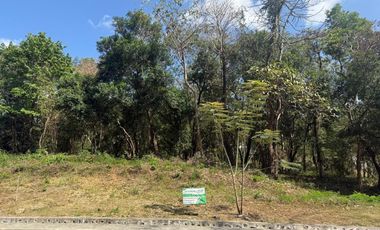 RARE Forest Park LOT in Fairmount Hills