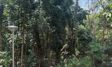 RARE Forest Park LOT in Fairmount Hills