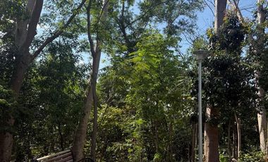 RARE Forest Park LOT in Fairmount Hills