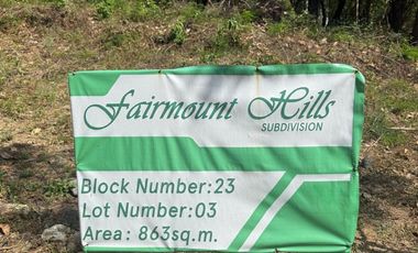 RARE Forest Park LOT in Fairmount Hills