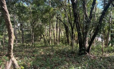 RARE Forest Park LOT in Fairmount Hills