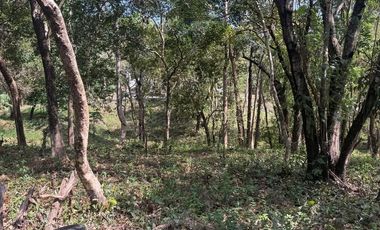 RARE Forest Park LOT in Fairmount Hills