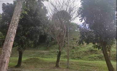 Vacant Lot in Forest Hills Ph1 Antipolo Rizal