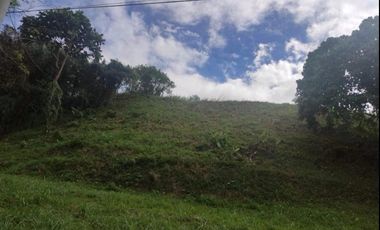 Vacant Lot in Forest Hills Ph1 Antipolo Rizal