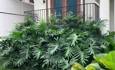 Beautiful 3 Bedroom House FOR RENT - San Lorenzo Village, Makati City