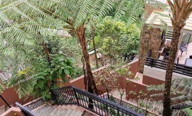 Baguio Property Single Detached, 5 Bedrooms, & Bachelor's Pad w/ View