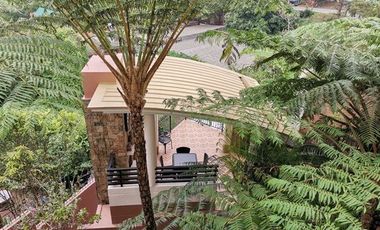 Baguio Property Single Detached, 5 Bedrooms, & Bachelor's Pad w/ View