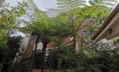 Baguio Property Single Detached, 5 Bedrooms, & Bachelor's Pad w/ View