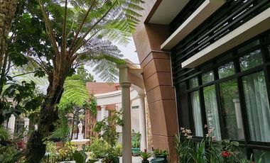 Baguio Property Single Detached, 5 Bedrooms, & Bachelor's Pad w/ View