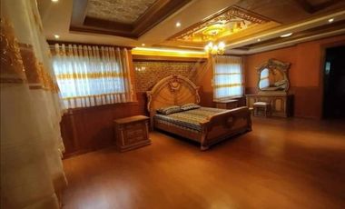 Farm Lot with 17 Bedrooms Mansion House and Swimming Pool FOR SALE