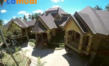 Farm Lot with 17 Bedrooms Mansion House and Swimming Pool FOR SALE