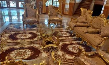 Farm Lot with 17 Bedrooms Mansion House and Swimming Pool FOR SALE