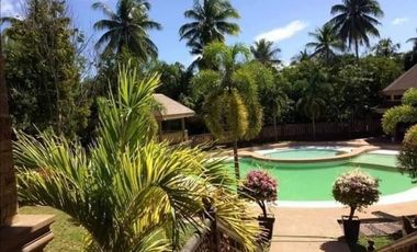 Farm Lot with 17 Bedrooms Mansion House and Swimming Pool FOR SALE