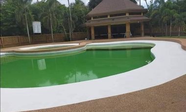 Farm Lot with 17 Bedrooms Mansion House and Swimming Pool FOR SALE