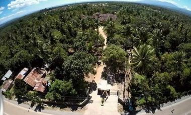 Farm Lot with 17 Bedrooms Mansion House and Swimming Pool FOR SALE