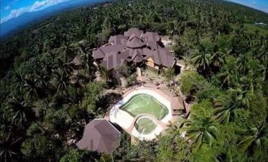 Farm Lot with 17 Bedrooms Mansion House and Swimming Pool FOR SALE