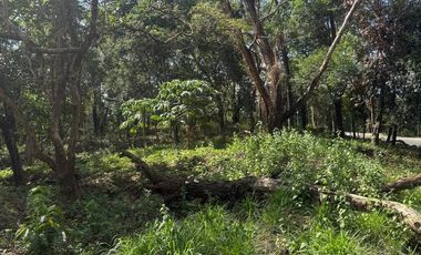Premium SMALL and FLAT Fairmount Hills Lot