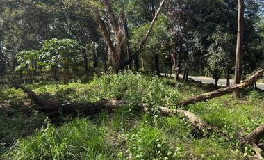 Premium SMALL and FLAT Fairmount Hills Lot