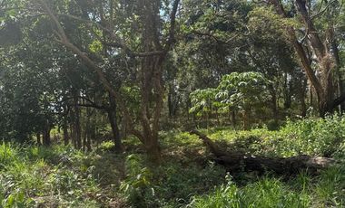 Premium SMALL and FLAT Fairmount Hills Lot