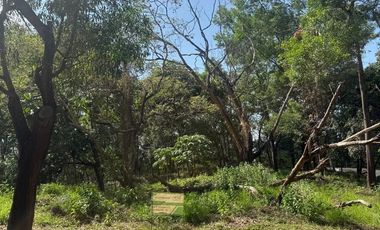 Premium SMALL and FLAT Fairmount Hills Lot