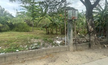 11,000sqm lot for sale in the middle of the City - San Josef Sur Cabanatuan City